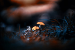 中国力量闪耀！亚洲电竞冠军赛，为国争光，热血澎湃！