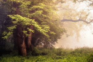 心跳加速!苏超联赛残酷赛程,谁将笑到最后 心跳加速!苏超联赛残酷赛程,谁将笑到最后